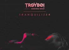 TroyBoi - Tranquilizer Ft Adekunle Gold Mp3 Download