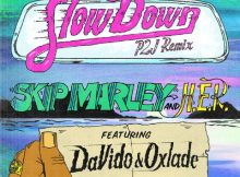 Skip Marley - Slow Down (Remix) Ft Davido x Oxlade x H.E.R