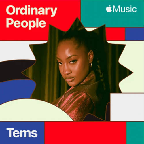 Tems - Ordinary People (Cover)