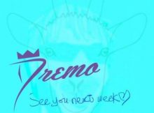 DOWNLOAD MP3 Dremo - See You Next Week