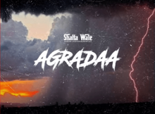 Shatta Wale - Agradaa (Prod. by Fox Beatz)