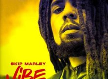 Skip Marley & Popcaan - Vibe