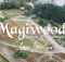 DOWNLOAD MP3 Magnito - Magiwood Ft. Bovi