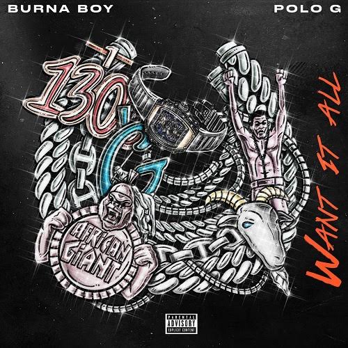DOWNLOAD MP3 Burna Boy - Want It All Ft. Polo G