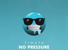 DOWNLOAD MP3 Timaya - No Pressure
