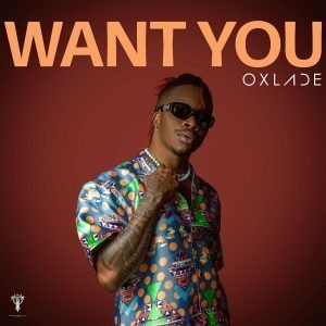 DOWNLOAD MP3 Oxlade - Want You