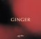 DOWNLOAD MP3 King Promise - Ginger
