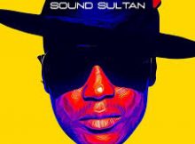 Sound Sultan - Friends