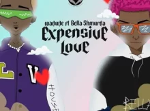 Wadude - Expensive Love Ft. Bella Shmurda