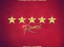 Adekunle Gold - 5 Star (Remix) Ft. Rick Ross