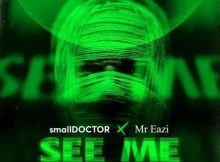 DOWNLOAD MP3 Small Doctor - See Me Ft. Mr Eazi